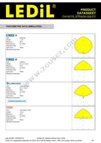 CA14219_STRADA-SQ-CY Datasheet Page 7