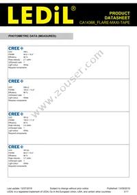 CA14366_FLARE-MAXI-TAPE Datasheet Page 3