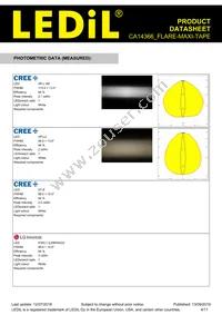 CA14366_FLARE-MAXI-TAPE Datasheet Page 4