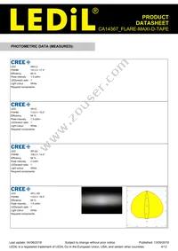 CA14367_FLARE-MAXI-D-TAPE Datasheet Page 4