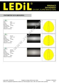 CA14367_FLARE-MAXI-D-TAPE Datasheet Page 9