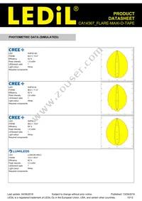 CA14367_FLARE-MAXI-D-TAPE Datasheet Page 10
