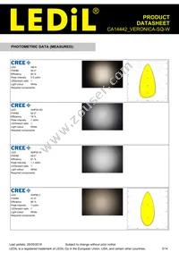 CA14442_VERONICA-SQ-W Datasheet Page 3