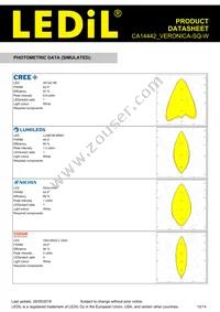 CA14442_VERONICA-SQ-W Datasheet Page 12