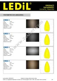 CA14479_TINA3-OO Datasheet Page 3