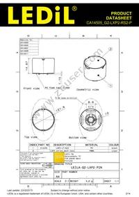 CA14505_G2-LXP2-RS2-P Datasheet Page 2