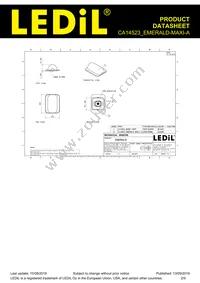 CA14523_EMERALD-MAXI-A Datasheet Page 2