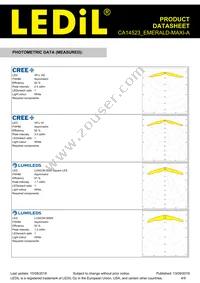 CA14523_EMERALD-MAXI-A Datasheet Page 4