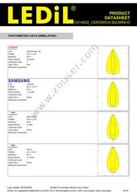 CA14602_VERONICA-SQ-MINI-O Datasheet Page 10