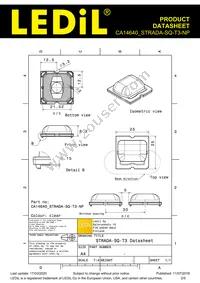 CA14640_STRADA-SQ-T3-NP Datasheet Page 2