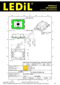 CA14843_STRADA-B2 Datasheet Page 2