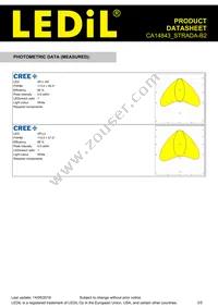 CA14843_STRADA-B2 Datasheet Page 3