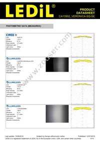 CA15902_VERONICA-SQ-SE Datasheet Page 4