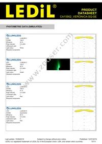 CA15902_VERONICA-SQ-SE Datasheet Page 10
