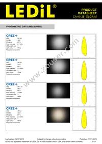 CA16128_OLGA-M Datasheet Page 5