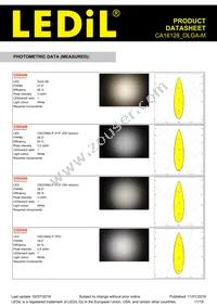 CA16128_OLGA-M Datasheet Page 11