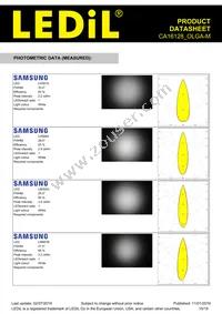 CA16128_OLGA-M Datasheet Page 15