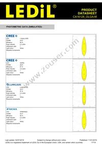 CA16128_OLGA-M Datasheet Page 17