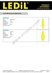 CA16128_OLGA-M Datasheet Page 18