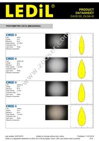 CA16129_OLGA-W Datasheet Page 3