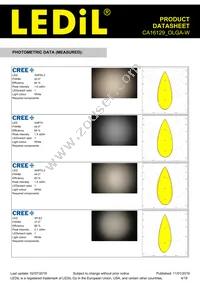 CA16129_OLGA-W Datasheet Page 4