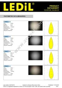 CA16129_OLGA-W Datasheet Page 5