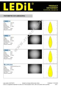 CA16129_OLGA-W Datasheet Page 6