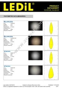 CA16129_OLGA-W Datasheet Page 9