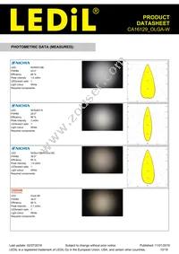 CA16129_OLGA-W Datasheet Page 10