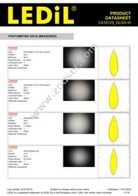 CA16129_OLGA-W Datasheet Page 11