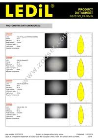 CA16129_OLGA-W Datasheet Page 12