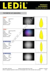 CA16129_OLGA-W Datasheet Page 13