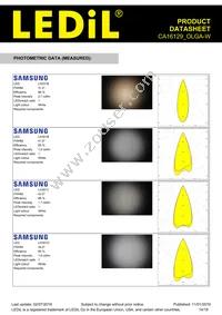 CA16129_OLGA-W Datasheet Page 14