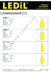 CA16129_OLGA-W Datasheet Page 16