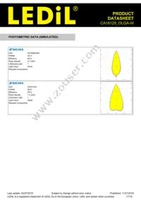 CA16129_OLGA-W Datasheet Page 17