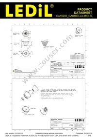 CA16202_GABRIELLA-MIDI-S Datasheet Page 3