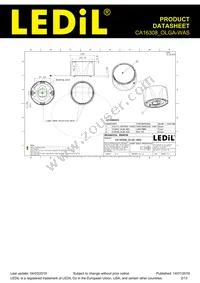 CA16308_OLGA-WAS Datasheet Page 2