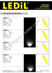 CA16308_OLGA-WAS Datasheet Page 4