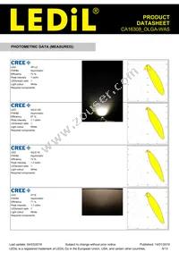 CA16308_OLGA-WAS Datasheet Page 5