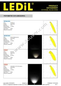 CA16308_OLGA-WAS Datasheet Page 8