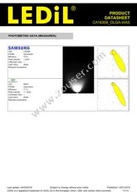 CA16308_OLGA-WAS Datasheet Page 11