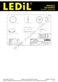 CA16672_OLGA-RS Datasheet Page 2