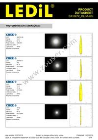 CA16672_OLGA-RS Datasheet Page 3