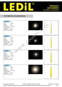 CA16672_OLGA-RS Datasheet Page 4