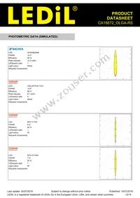 CA16672_OLGA-RS Datasheet Page 12