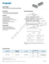 CA56-11GWA Datasheet Cover