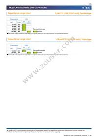 CAA572C0G3A663J640LH Datasheet Page 5