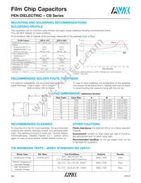 CB187G0105KBC Datasheet Page 15