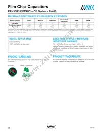 CB187G0105KBC Datasheet Page 19