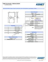 CCR05CG101JR Datasheet Cover